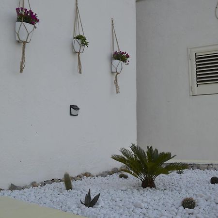 Casa Vacanza Salentina Gagliano del Capo Buitenkant foto
